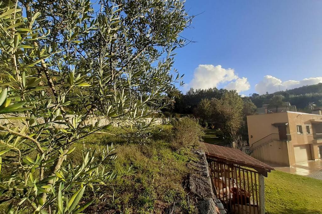Cavado'S Heights Braga Apartment Exterior foto